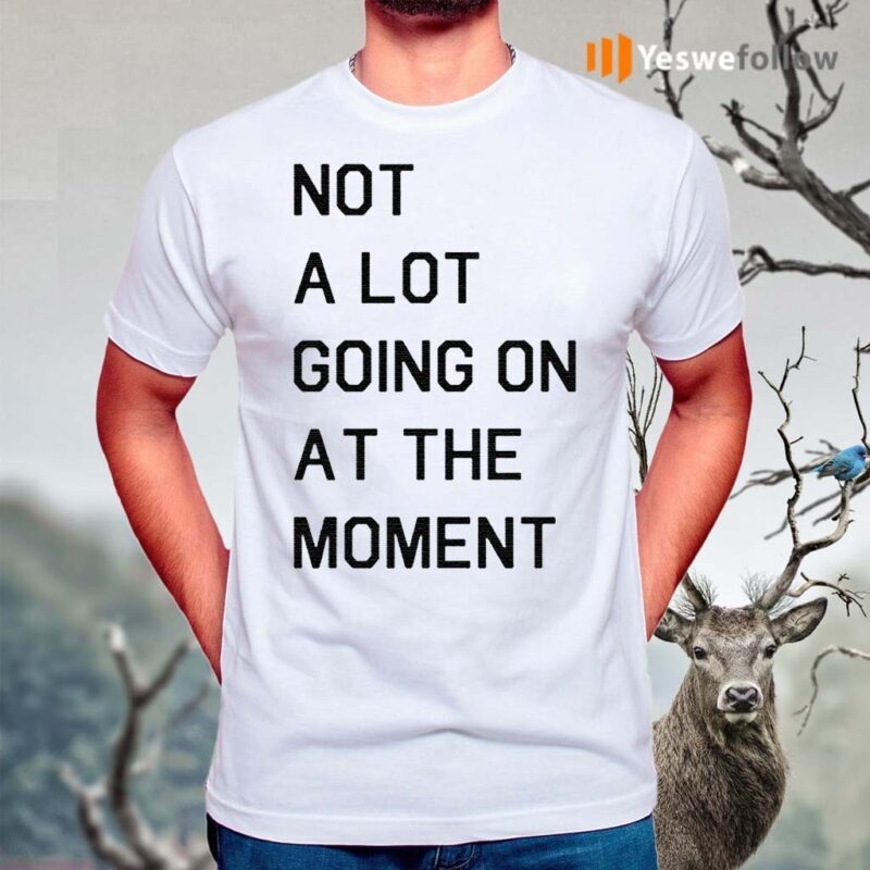 not a whole lot going on at the moment shirt