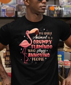 My Spirit Animal Is A Grumpy Flamingo Who Slaps Annoying People Shirt