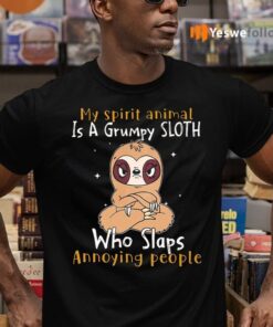 My Spirit Animal Is A Grumpy Sloth Who Slaps Annoying People TShirts