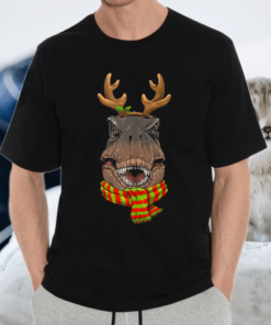TRex Christmas Reindeer Antlers Xmas Boys Girls TShirt