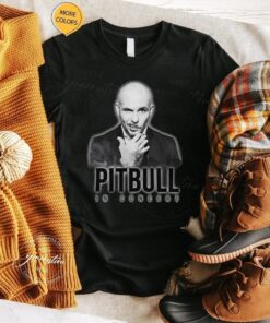 Worldwide Tour T-Shirt Pitbull In Concert Shirts