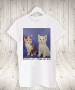 gaslighting isn’t real you crazy bitch tee-shirt