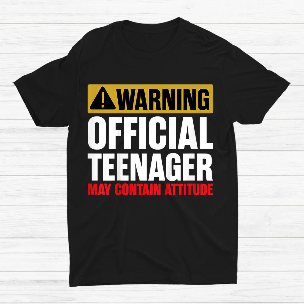 13 Birthday Official Teenager Boy 13yr Math 13th Birthday Shirt