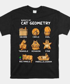 Basic Cat Geometry Cute Cat Cat Lover Cat Owner Math School Shirt