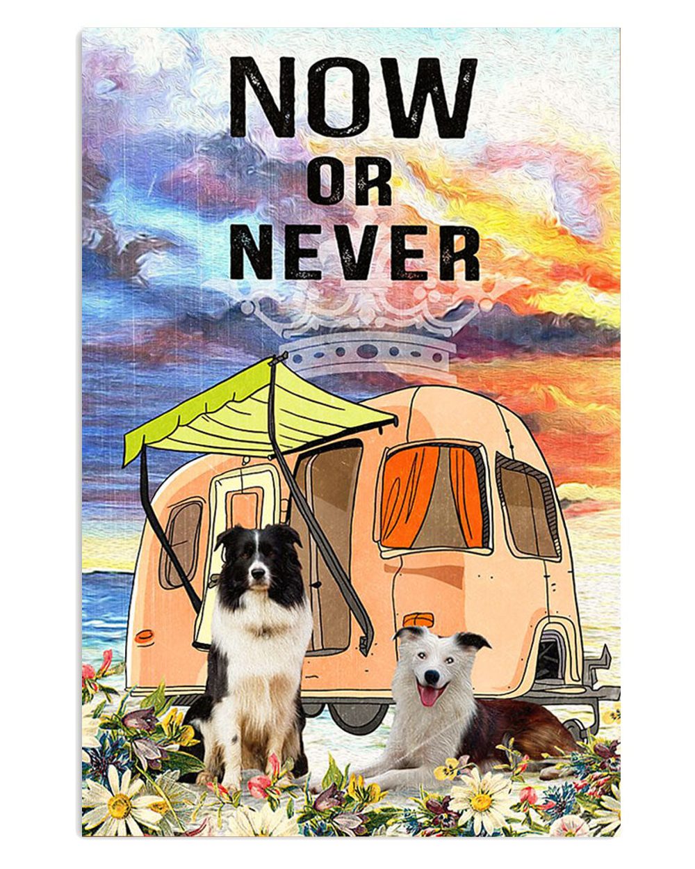 Cute Border Collie Dog Camping Now Or Never Poster