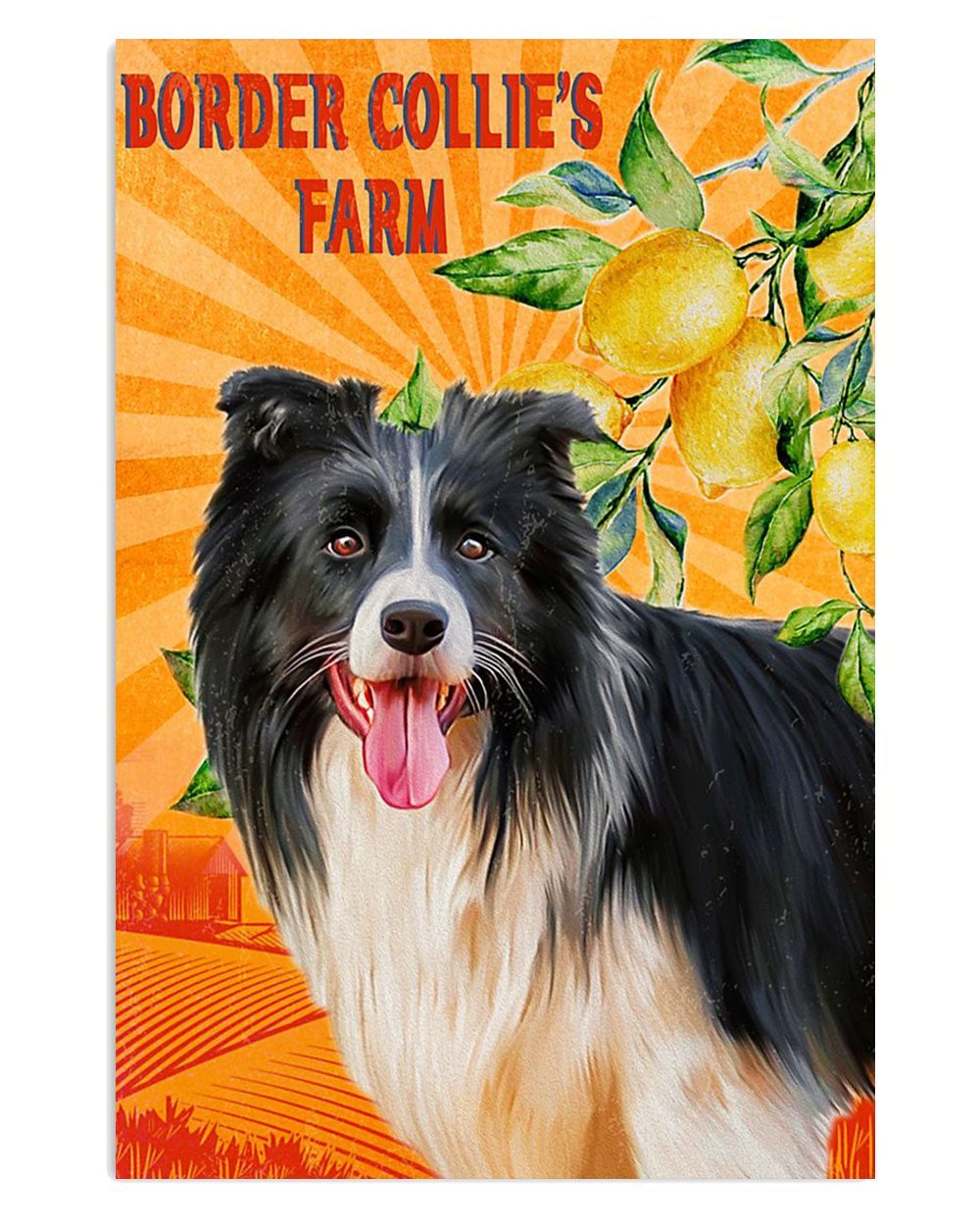 Cute Border Collie Dog Collie's Farm Gift For Merle Collie Lover Poster