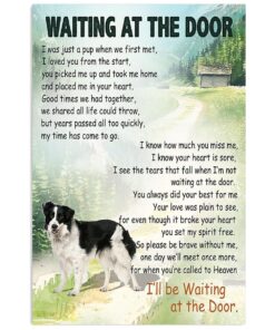 Cute Border Collie Dog Dog Memorial Gift For Merle Collie Lover Poster