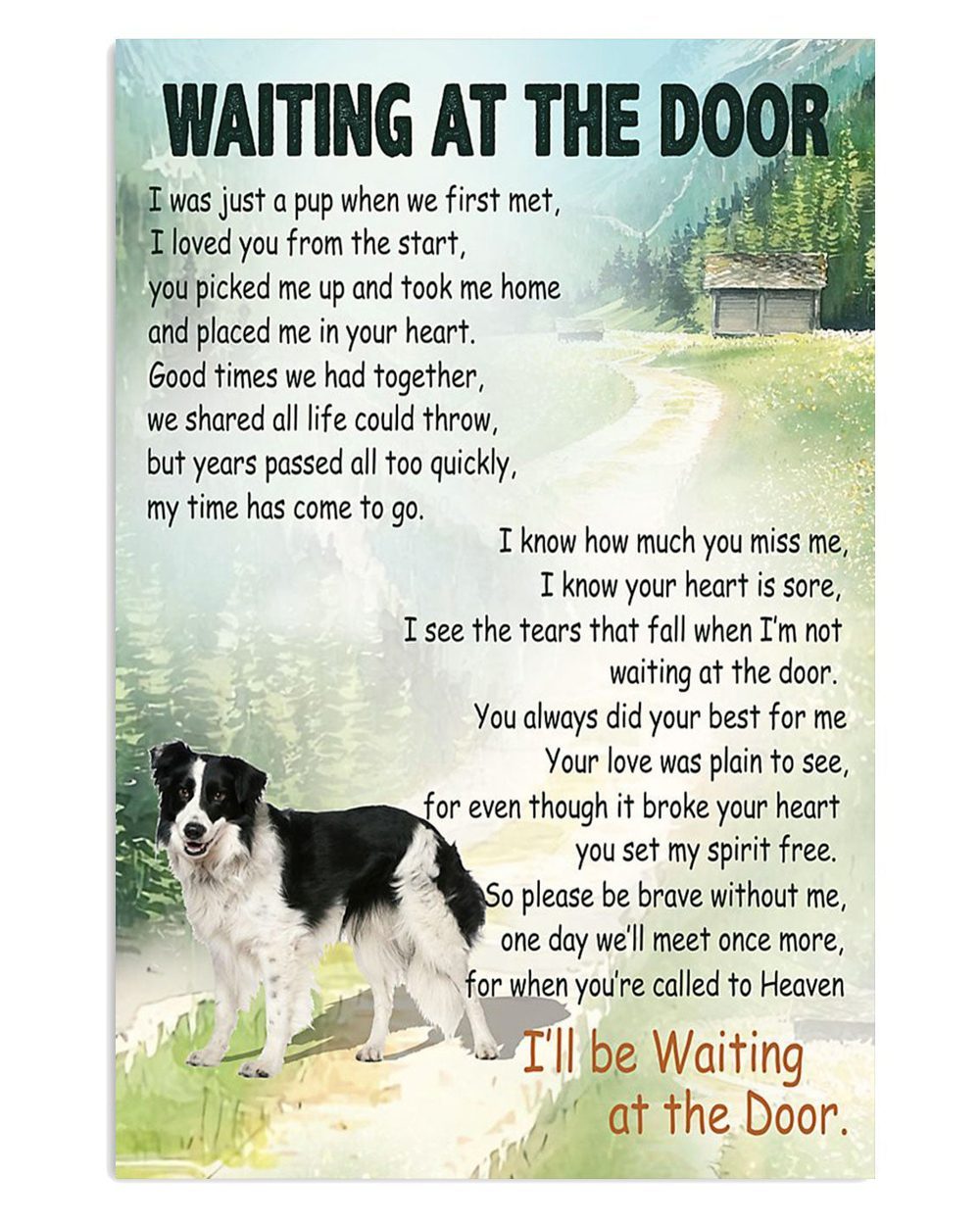 Cute Border Collie Dog Dog Memorial Gift For Merle Collie Lover Poster