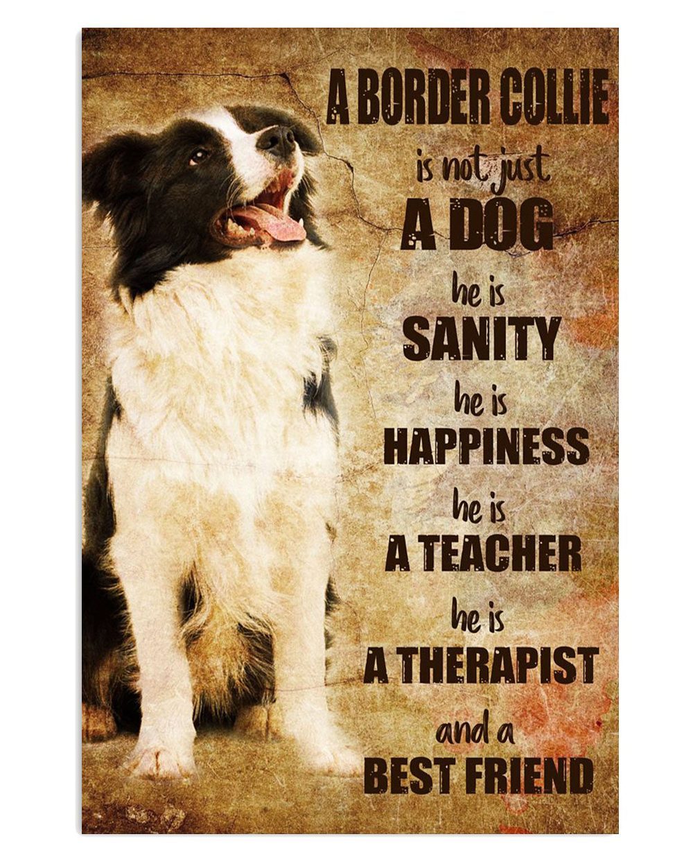 Cute Border Collie Dog He Is Sanity Gift For Merle Collie Lover Poster
