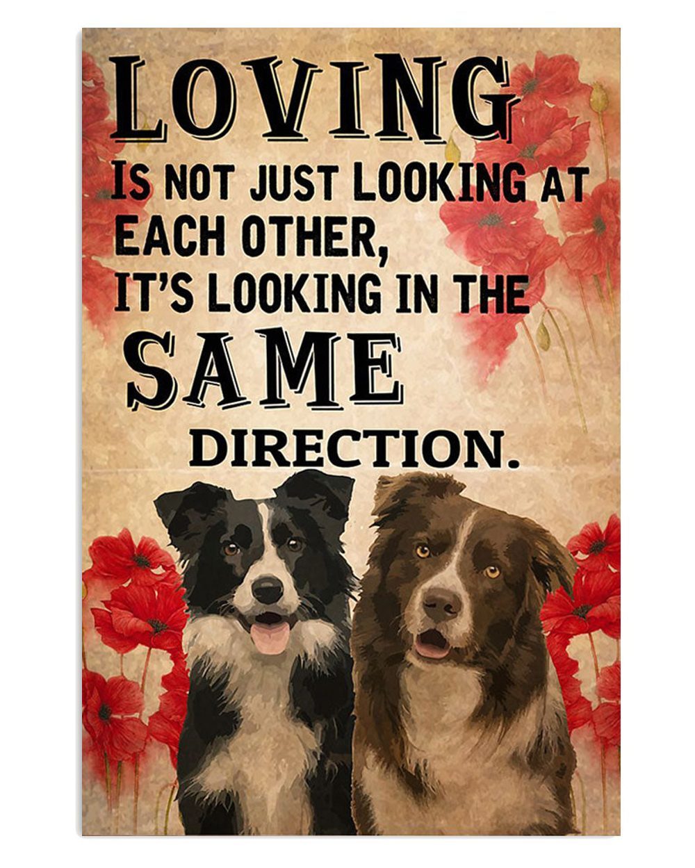 Cute Border Collie Dog Looking In The Same Direction Poster