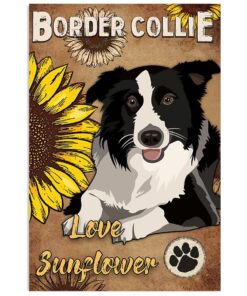 Cute Border Collie Dog Love Sunflower Gift For Merle Collie Lover Poster