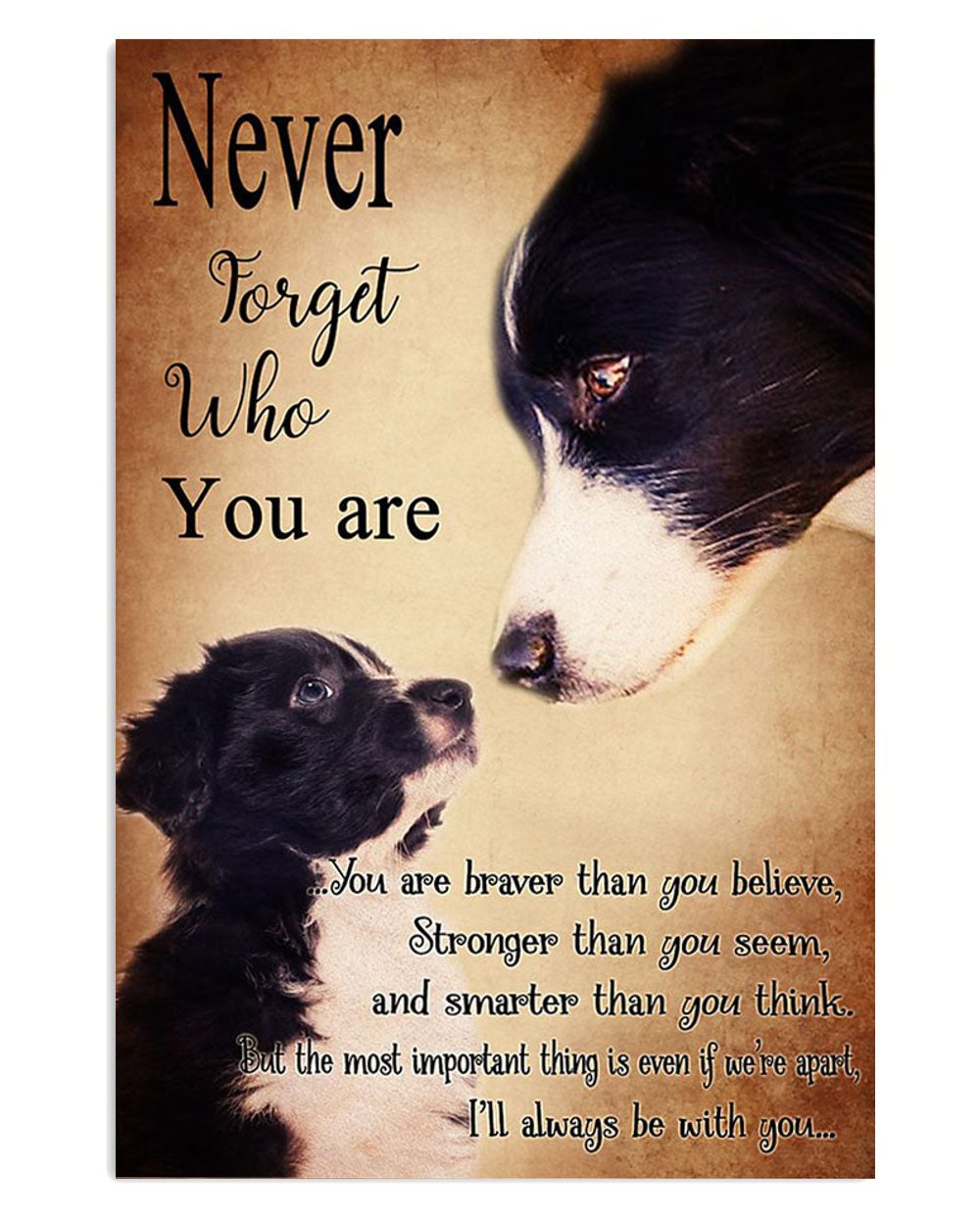 Cute Border Collie Dog Never Forget Who You Are Poster