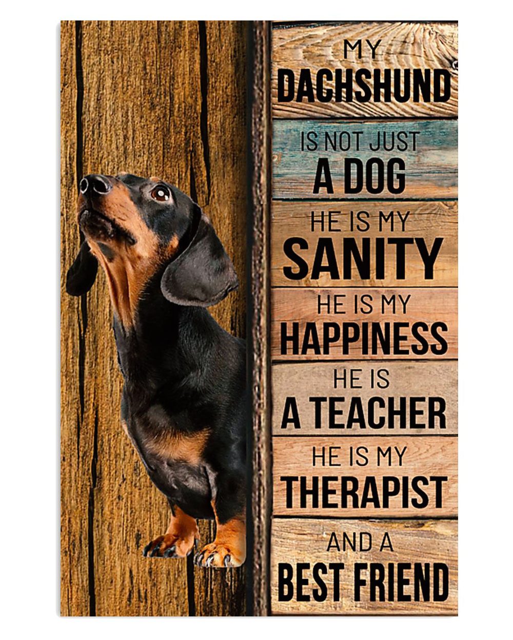 Dachshund Best Friend Gift For Dachshund Dog Puppies Lover Poster