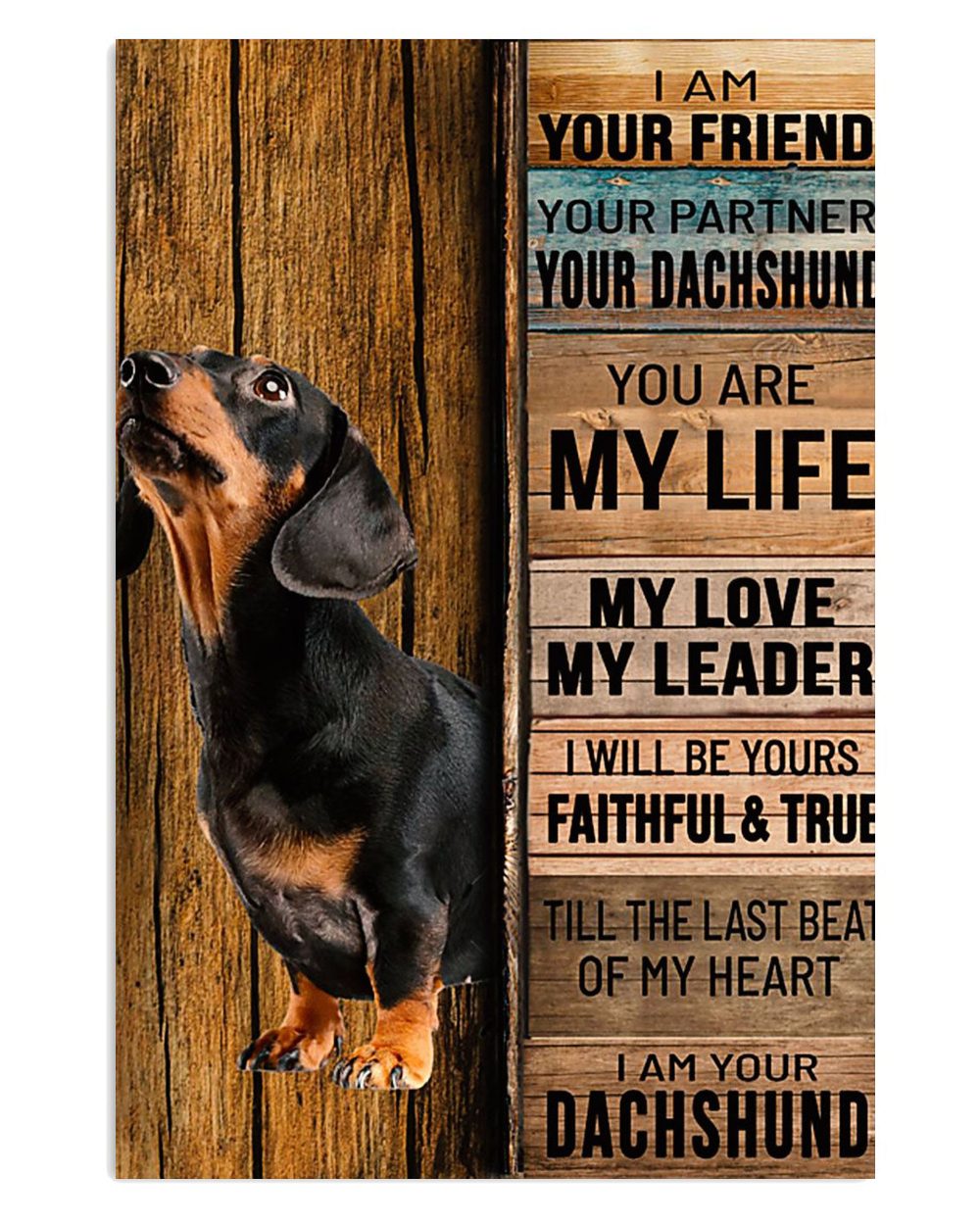 Dachshund My Leader Gift For Dachshund Dog Puppies Lover Poster