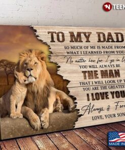 Lion Dad & Son To My Dad So Much Of Me Is Made From What I Learned From YouShirt