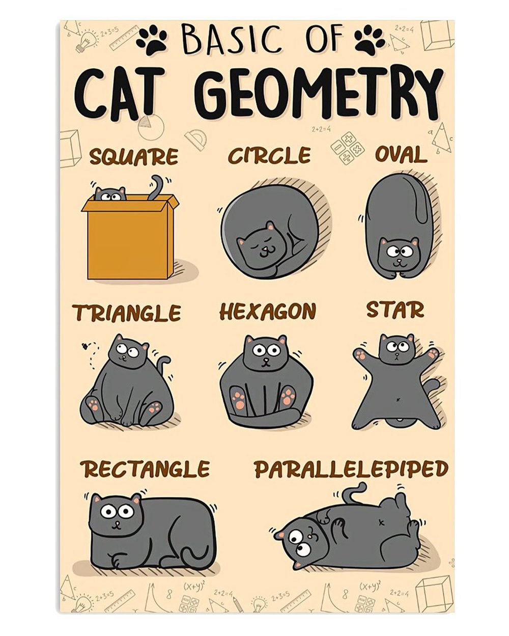 Teacher Classroom Basic Of Cat Geometry Back To School Poster