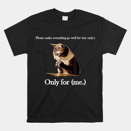 Please Make Everything Go Well For Cat Saying Shirt