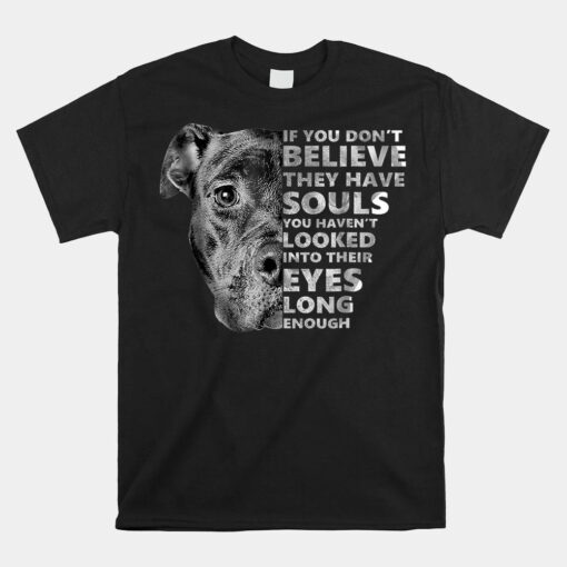 Soul Pitbull I Love Pitbull Tshirt