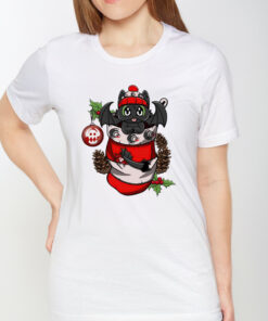 Baby Night Fury in Christmas Stocking TShirt