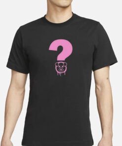 Mystery T-Shirts